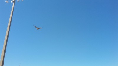 20170304_113935.jpg