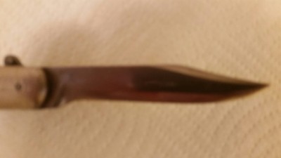 20170308_121936_resized[1].jpg