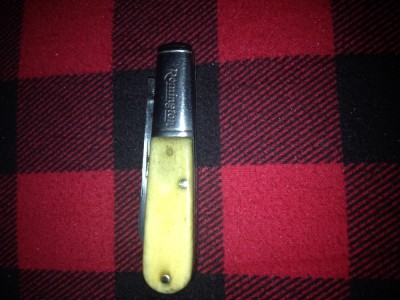 image.jpeg