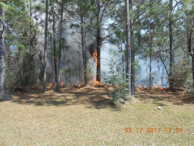 Today's fire about to run into a pond and die out