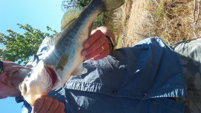 20170317_131046.jpg