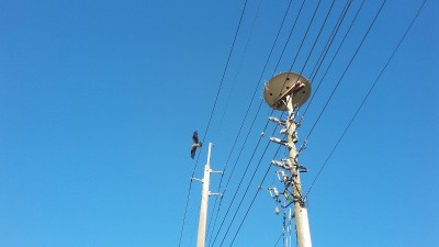 20170321_181931.jpg