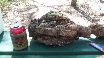 20170321_121505.jpg