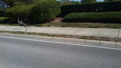 20170321_105453.jpg