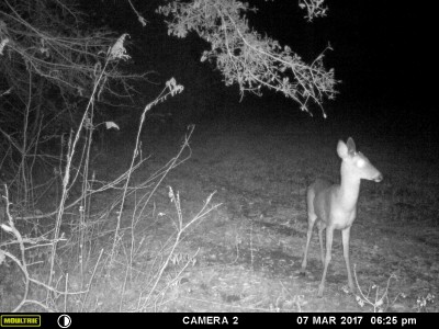 Ain't that a fine rack?