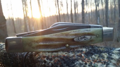 20161106_070459.jpg