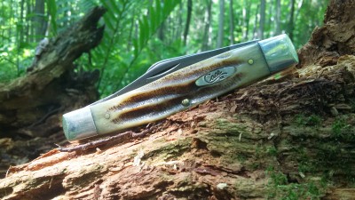 20150710_103737.jpg