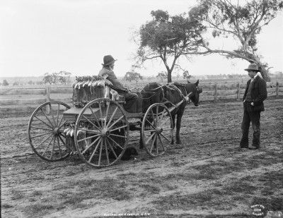 Australian_rabbiter,_NSW_from_The_Powerhouse_Museum_Collection.jpg