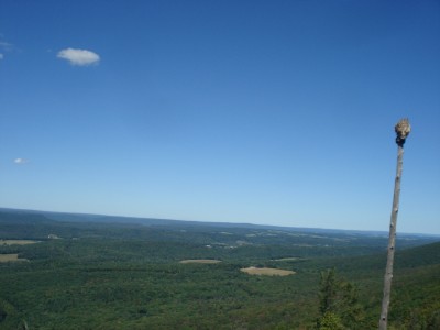 DSC03486.JPG