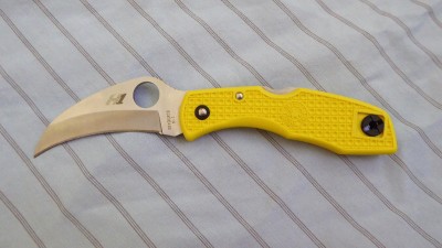 Spyderco Tasman 1.jpg