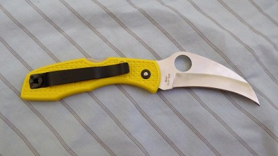 Spyderco Tasman 2.jpg