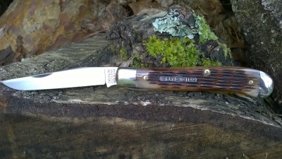 WP_20170403_009.jpg