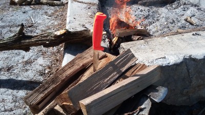 20170407_110151.jpg