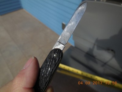 R4466 021.JPG