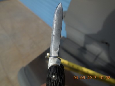 R4466 022.JPG