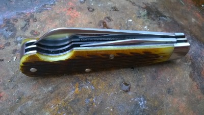 WP_20170418_026.jpg