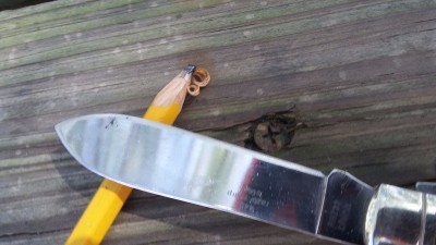 20170224_122751.jpg