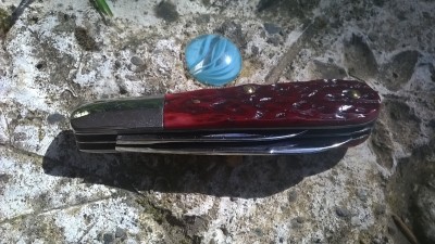 WP_20170427_025.jpg