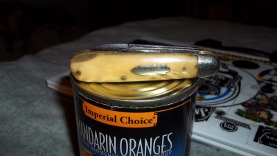 IMG_0610(1).jpg