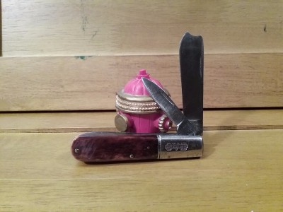 20170430_172531.jpg