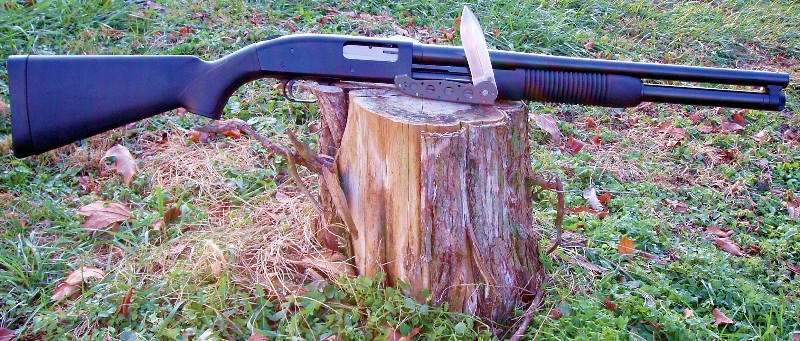 Mossberg Defender and CRKT M21.jpg