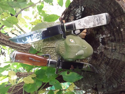 20160720_165817.jpg