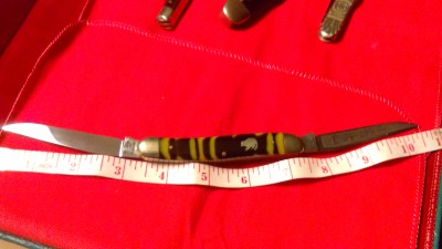 IMAG0267.jpg