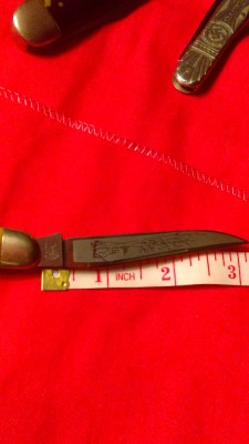 IMAG0266.jpg