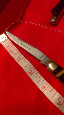 IMAG0265.jpg