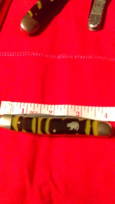 IMAG0264.jpg