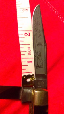 IMAG0262.jpg