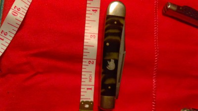 IMAG0261.jpg