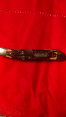 IMAG0241.jpg