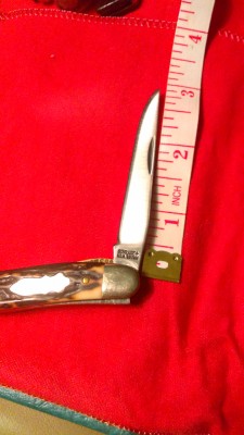 IMAG0242.jpg