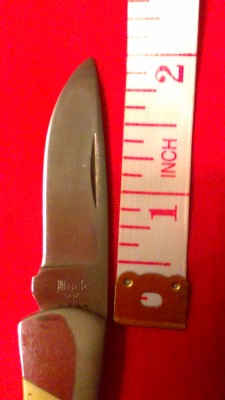 IMAG0244.jpg