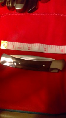 IMAG0245.jpg