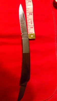 IMAG0250.jpg