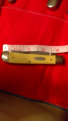 IMAG0255.jpg