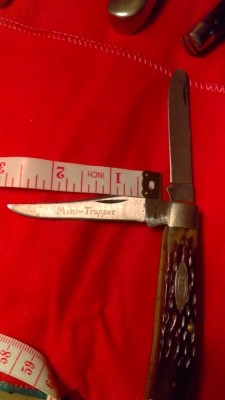 IMAG0252.jpg