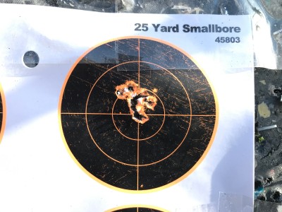 Browning T Bolt 17 HMR Bench 100 yard Sub MOA.JPG