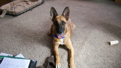 New buddies May 2017 002.JPG