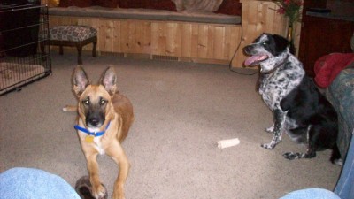 New buddies May 2017 005.JPG