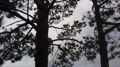 20170513_103503.jpg