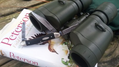 20170514_111140.jpg