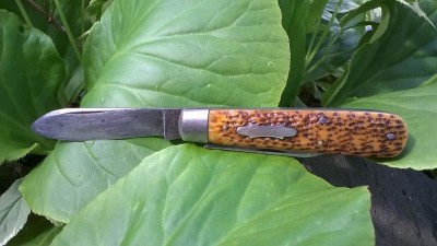 WP_20170518_032.jpg