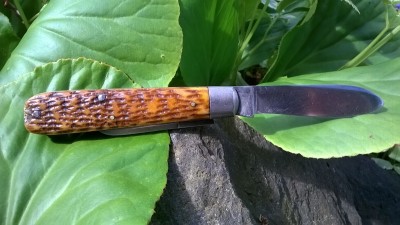 WP_20170518_033.jpg