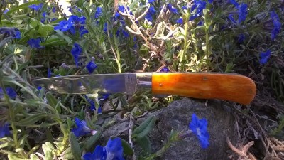 WP_20170526_005.jpg