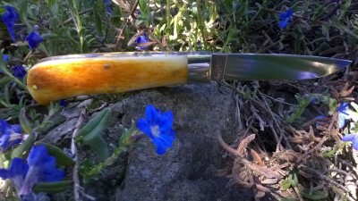 WP_20170526_009.jpg