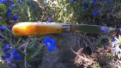 WP_20170526_008.jpg