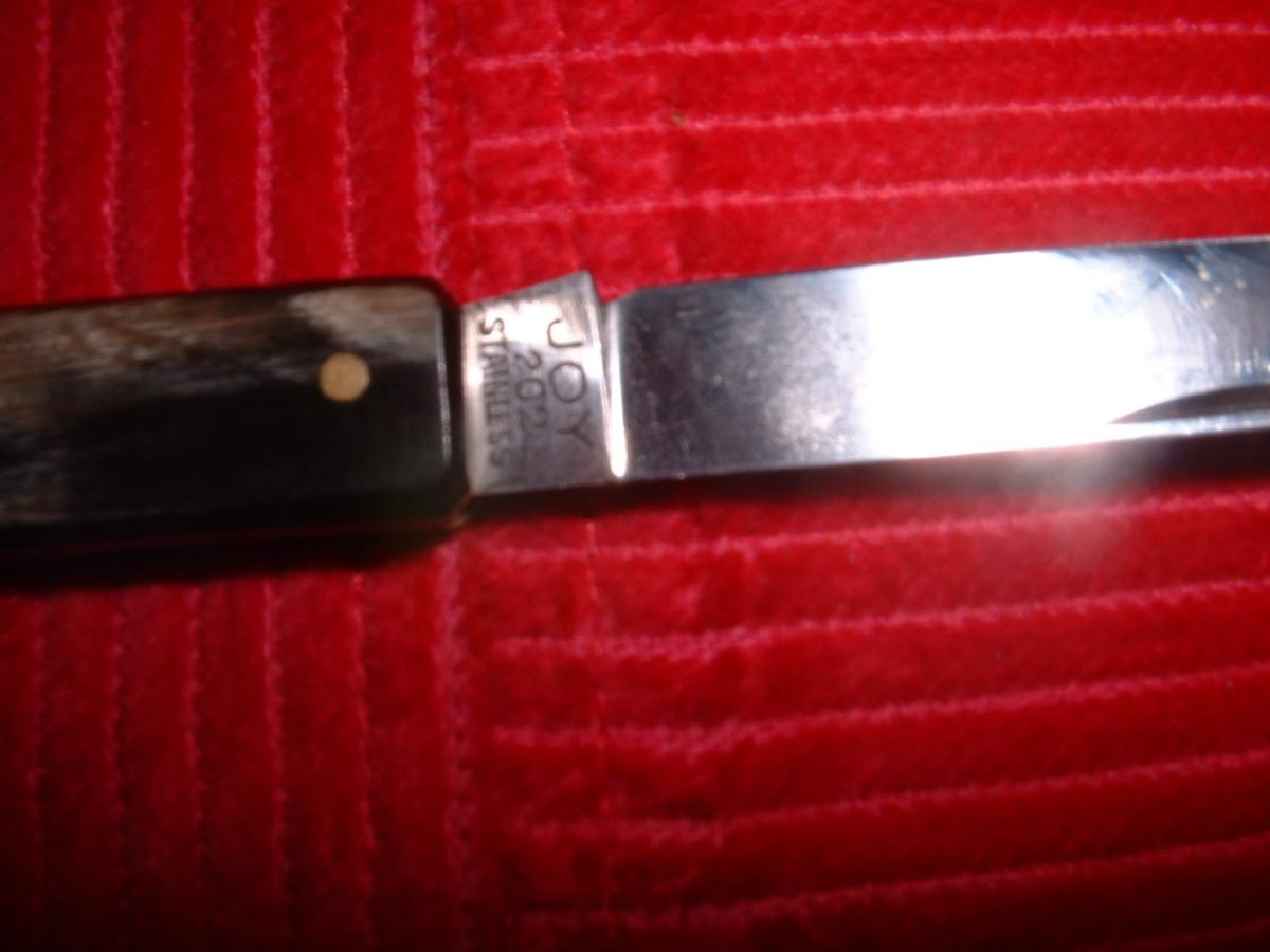 DSCF0003.JPG